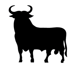 black bull spain